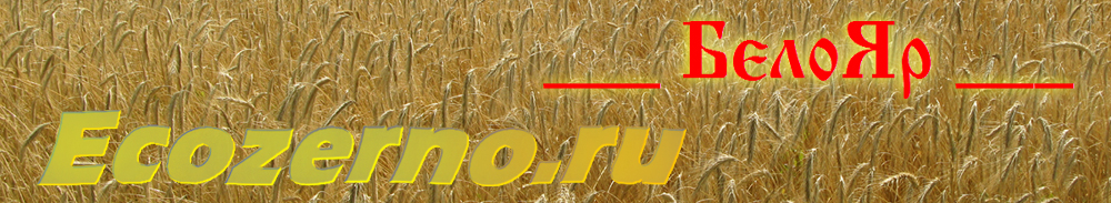 Глютен - естественная составная часть пшеничного зерна. А разговоры о его вреде - реклама новых 